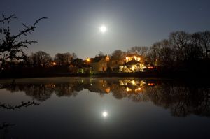 carew moonlight sm.jpg